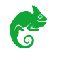 Comma Camel