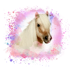 pony, pink, shettland,horse,pony,white pony