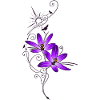 Purple crocus symbols in spring