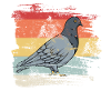 Retro Bird Pigeon