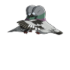 Hugging Birds Pigeon