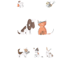 Veterinarian girl, veterinarian