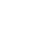 Rhinoceros