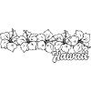 Hawaii Hawaiian Hibiscus Flowers