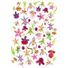 Orchidées Blumenliese