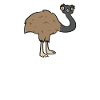 I'm not amused funny emu