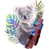 Koala bear