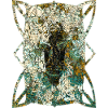 African Masks (2)