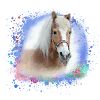 haflinger,pferd,graffiti, malerei, pferdekopf,bunt
