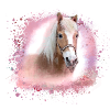 haflinger,pferd,graffiti, malerei, pferdekopf,rosa