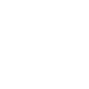 Dragonfly Spiritual Lotus Flower