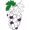Grape Line Art