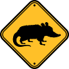 Opossum Danger Shield