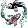 Koi Fish Yin Yang