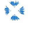 Scotland Flag Sunflower