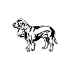 SPANIEL