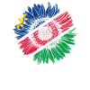 Namibia Flag Sunflower