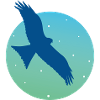 Red Kite - blue edition