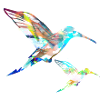 hummingbird, graffiti, painting, bird, painting,