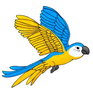 Papagei gelb blau