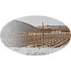 Hallertau - Hopfenfeld