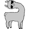 Lama looks crooked