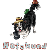 Hütehund