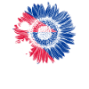 Nepal Flag Sunflower