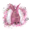 rabbit,graffiti,painting,pet,rabbit,pink
