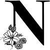Letter N