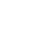 Fencing Sword