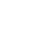 seal animal