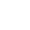 Foxes Fox Animals Fox