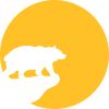 Bear Moon Cliff