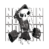 Body Building Skeleton