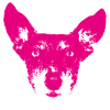 Hund Pink