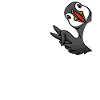 Puffin bird lovers