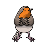 Vertrauter Robin Hartnäckiger Vogel