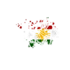 Fredstegn Kurdistan
