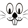 Hasi