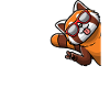 Kawaii Red Panda