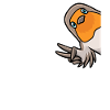 Robin lover bird