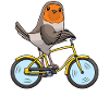 Robin Bird À vélo