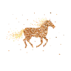 Haflinger Pferde Reiterin Pferdemädchen