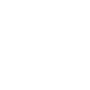 seal animal