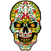 Mexican skull Mexican skull
