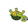 Schildkröte - Tortoise
