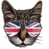 Royaume-Uni Cat