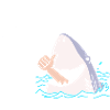 Requin Requin