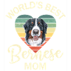 Bouvier bernois